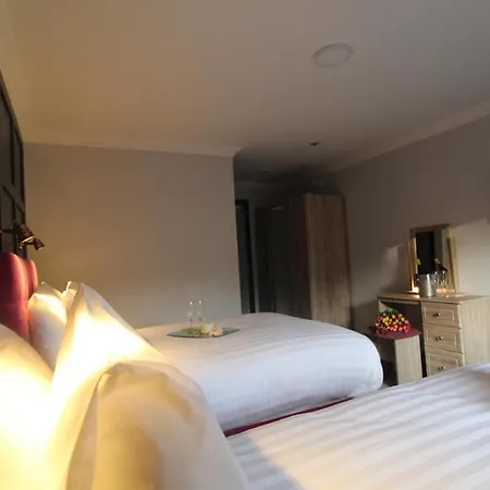 The Dutch Tulip Hostel