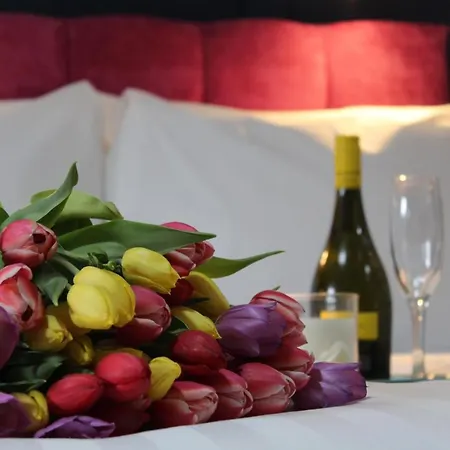 Hostel The Dutch Tulip *