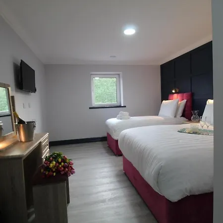 The Dutch Tulip * Mallow