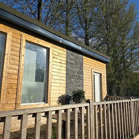 The Dutch Tulip Hostel *