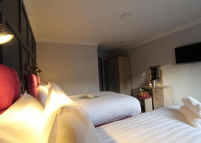 The Dutch Tulip Hostel