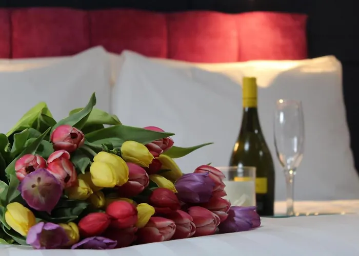 Hostal The Dutch Tulip *