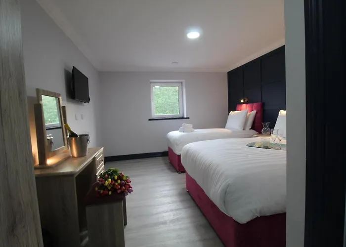 The Dutch Tulip * Mallow