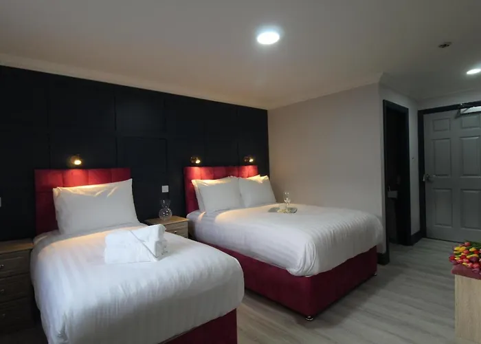 The Dutch Tulip Hostal Mallow