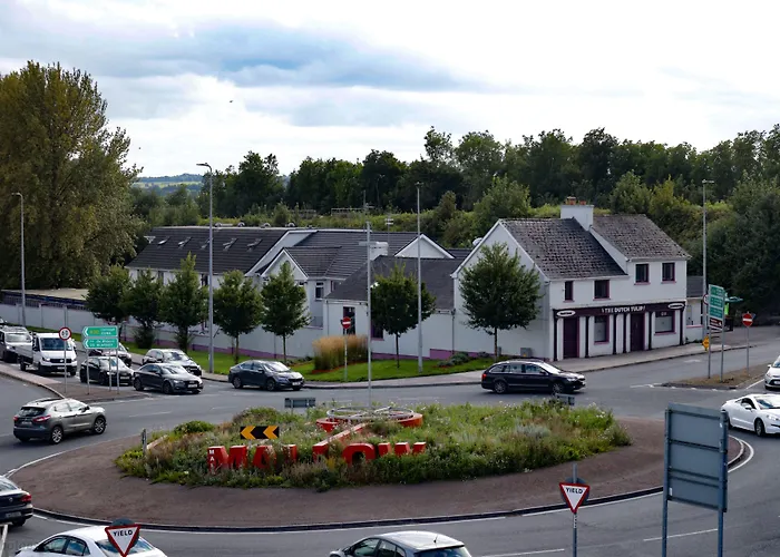 The Dutch Tulip * Mallow