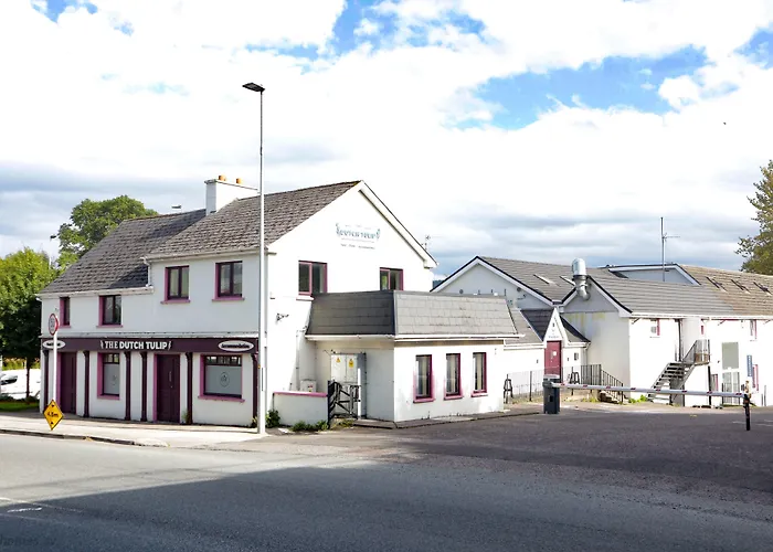 The Dutch Tulip Hostal